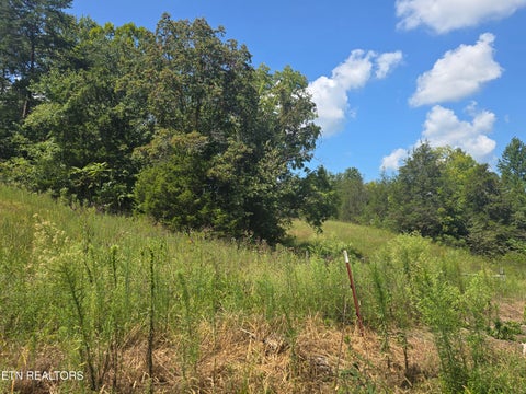 Tiny photo for 92839285 Graves Lane, Knoxville, TN 37938 (MLS # 1354883)