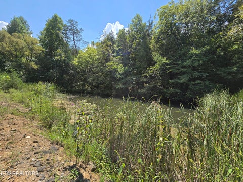 Tiny photo for 92839285 Graves Lane, Knoxville, TN 37938 (MLS # 1354883)