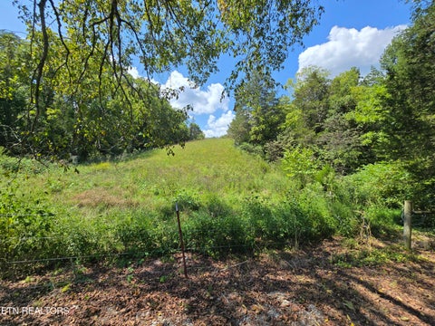 Tiny photo for 92839285 Graves Lane, Knoxville, TN 37938 (MLS # 1354883)
