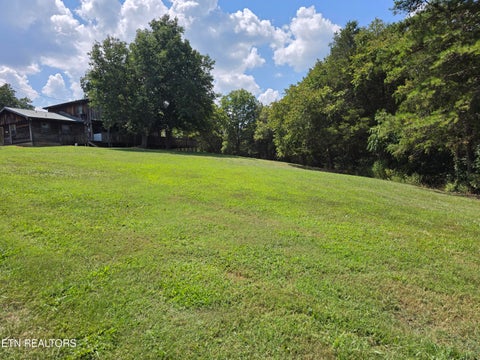 Tiny photo for 92839285 Graves Lane, Knoxville, TN 37938 (MLS # 1354883)
