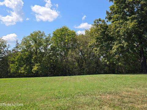 Tiny photo for 92839285 Graves Lane, Knoxville, TN 37938 (MLS # 1354883)