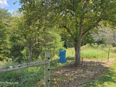 Tiny photo for 92839285 Graves Lane, Knoxville, TN 37938 (MLS # 1354883)