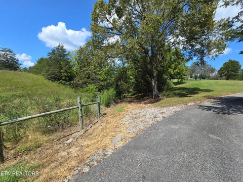 Tiny photo for 92839285 Graves Lane, Knoxville, TN 37938 (MLS # 1354883)