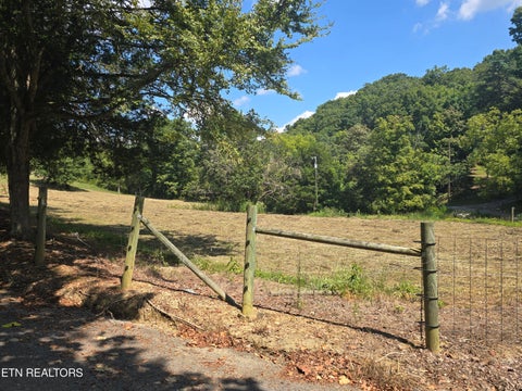 Tiny photo for 92839285 Graves Lane, Knoxville, TN 37938 (MLS # 1354883)