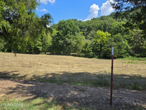 Tiny photo for 92839285 Graves Lane, Knoxville, TN 37938 (MLS # 1354883)
