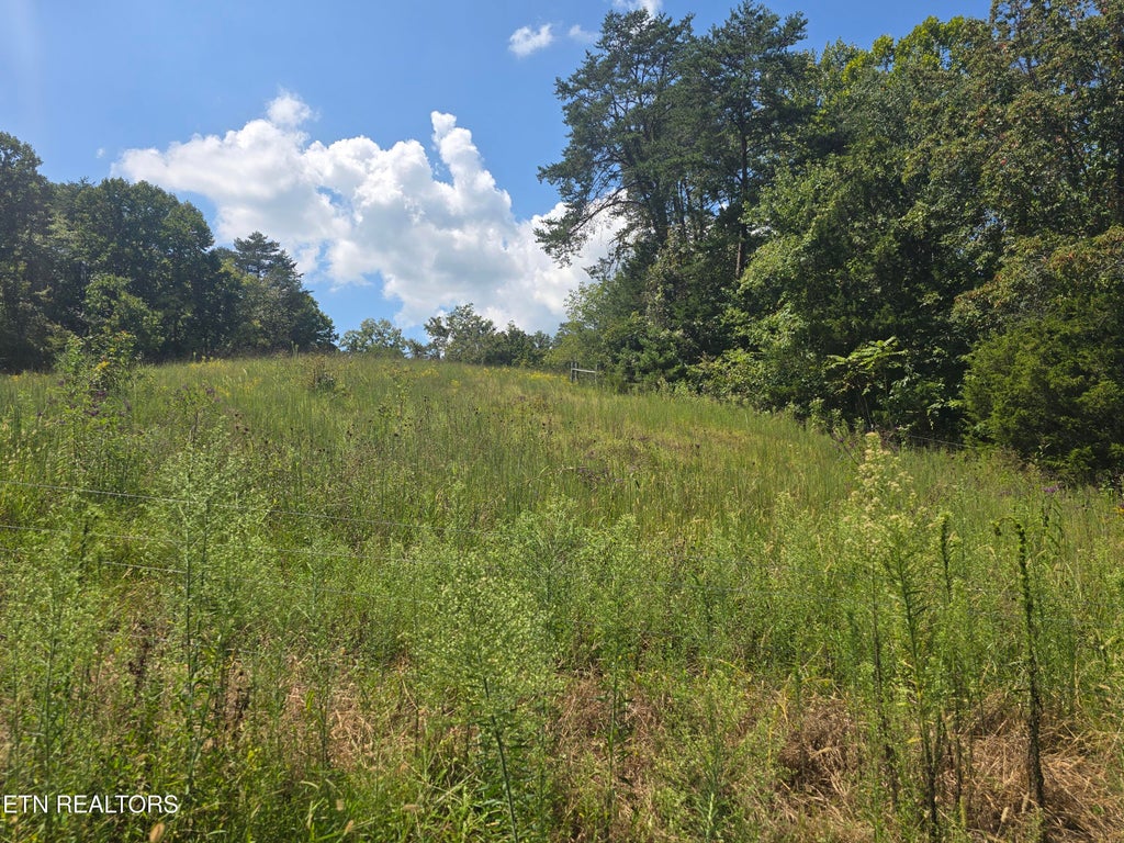 Photo of 92839285 Graves Lane, Knoxville, TN 37938 (MLS # 1354883)