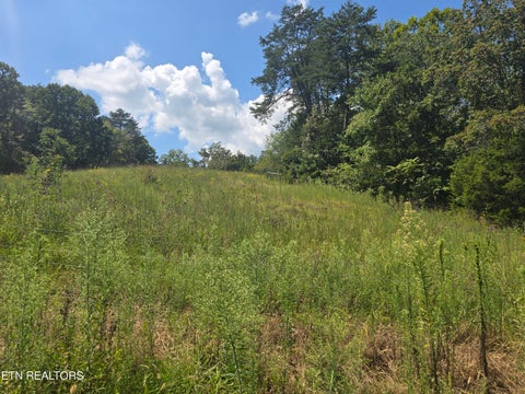 Tiny photo for 92839285 Graves Lane, Knoxville, TN 37938 (MLS # 1354883)