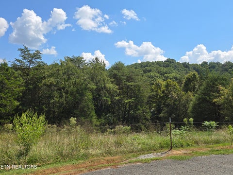 Tiny photo for 92839285 Graves Lane, Knoxville, TN 37938 (MLS # 1354883)