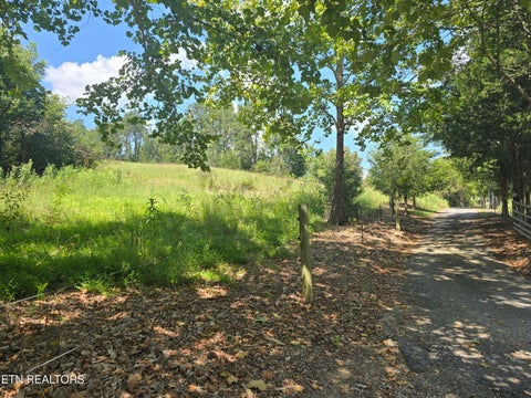 Tiny photo for 92839285 Graves Lane, Knoxville, TN 37938 (MLS # 1354883)