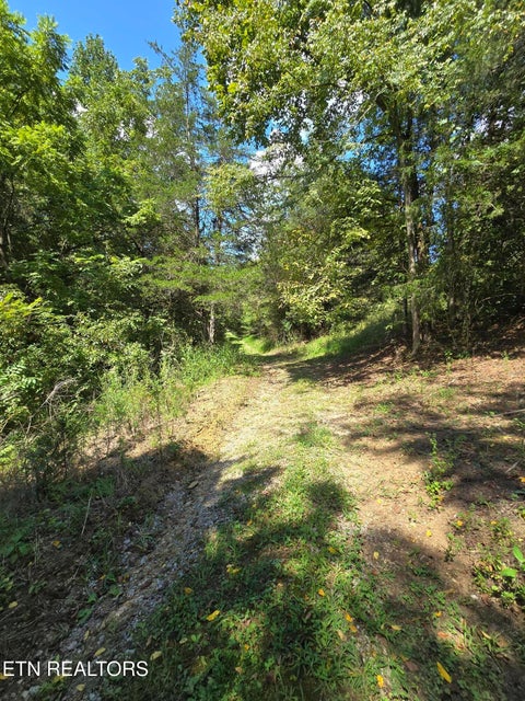Tiny photo for 92839285 Graves Lane, Knoxville, TN 37938 (MLS # 1354883)