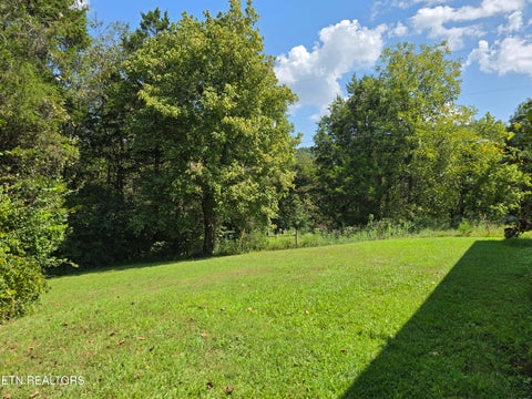 Tiny photo for 92839285 Graves Lane, Knoxville, TN 37938 (MLS # 1354883)