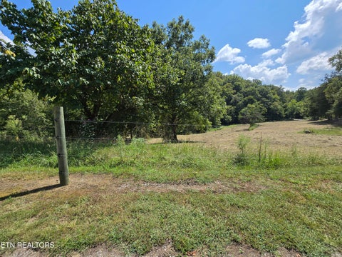 Tiny photo for 92839285 Graves Lane, Knoxville, TN 37938 (MLS # 1354883)