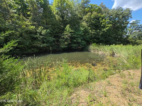 Tiny photo for 92839285 Graves Lane, Knoxville, TN 37938 (MLS # 1354883)