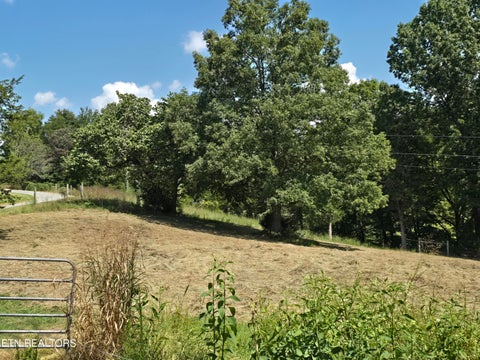 Tiny photo for 92839285 Graves Lane, Knoxville, TN 37938 (MLS # 1354883)