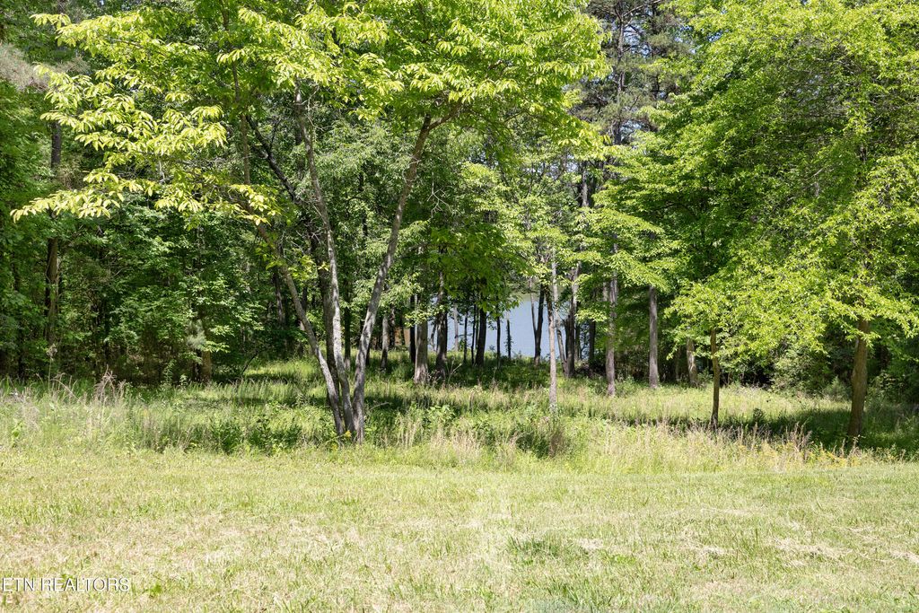 Photo of 772 Wood Duck Drive, Vonore, TN 37885 (MLS # 1341466)