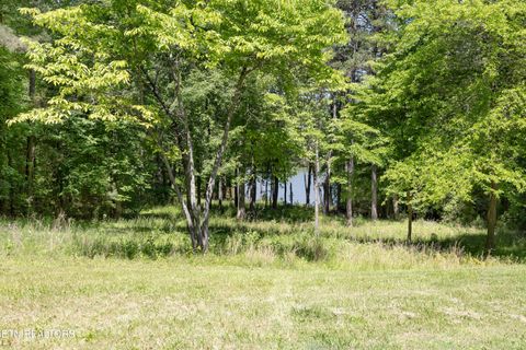 Photo of 772 Wood Duck Drive, Vonore, TN 37885 (MLS # 1341466)