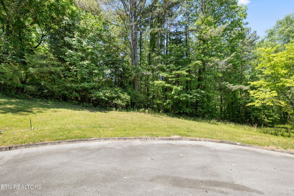 Photo of 772 Wood Duck Drive, Vonore, TN 37885 (MLS # 1341466)