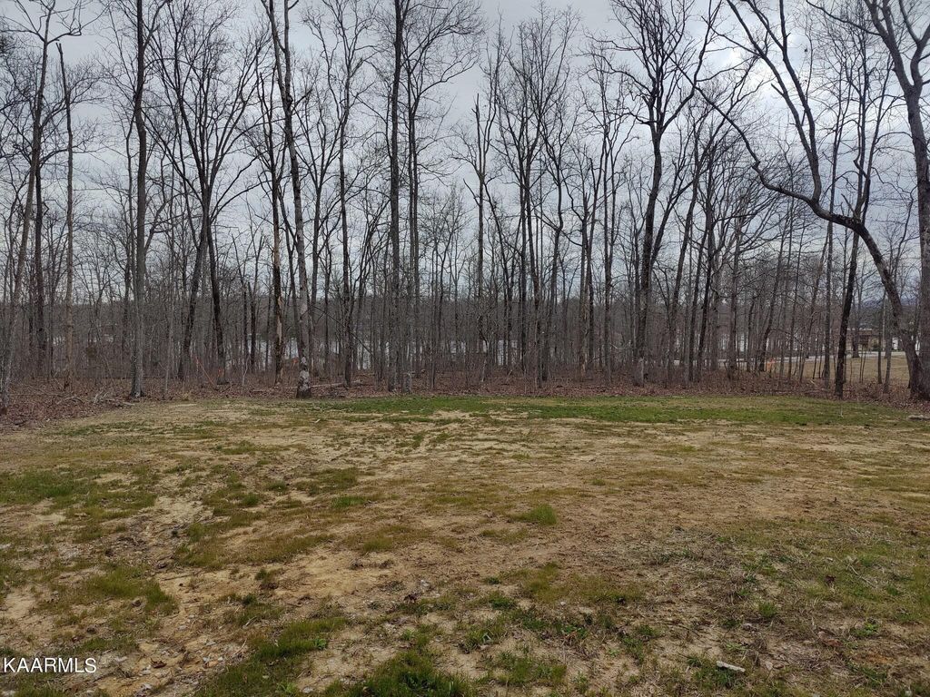 Photo of 226 Chickasaw Drive, Crossville, TN 38572 (MLS # 1335303)