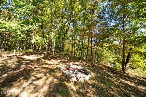 Tiny photo for 2715 Cox Valley Rd, Crossville, TN 38555 (MLS # 1360102)