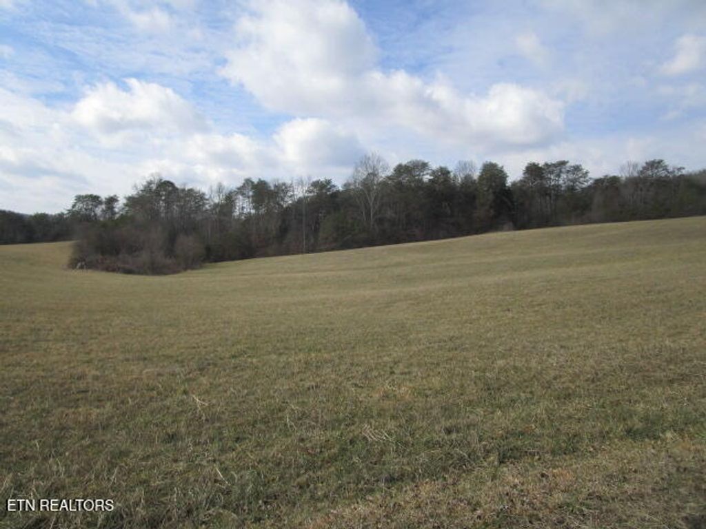 Photo of Jarnagin Ave, Rutledge, TN 37861 (MLS # 1328423)