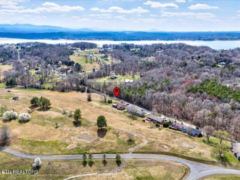 Tiny photo for 156 Back Nine Drive, Baneberry, TN 37890 (MLS # 1293964)