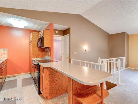 Tiny photo for 156 Back Nine Drive, Baneberry, TN 37890 (MLS # 1293964)