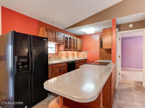 Tiny photo for 156 Back Nine Drive, Baneberry, TN 37890 (MLS # 1293964)