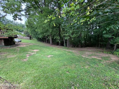 Tiny photo for 732 Greenbriar Rd, Talbott, TN 37877 (MLS # 1347435)