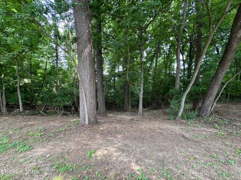 Tiny photo for 732 Greenbriar Rd, Talbott, TN 37877 (MLS # 1347435)