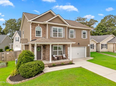 1920 Mahogany Wood Tr Knoxville TN 37920