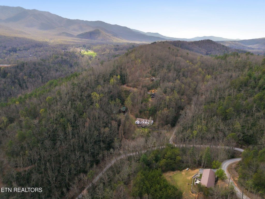 Photo of 337 Costner Rd, Cosby, TN 37722 (MLS # 1335542)