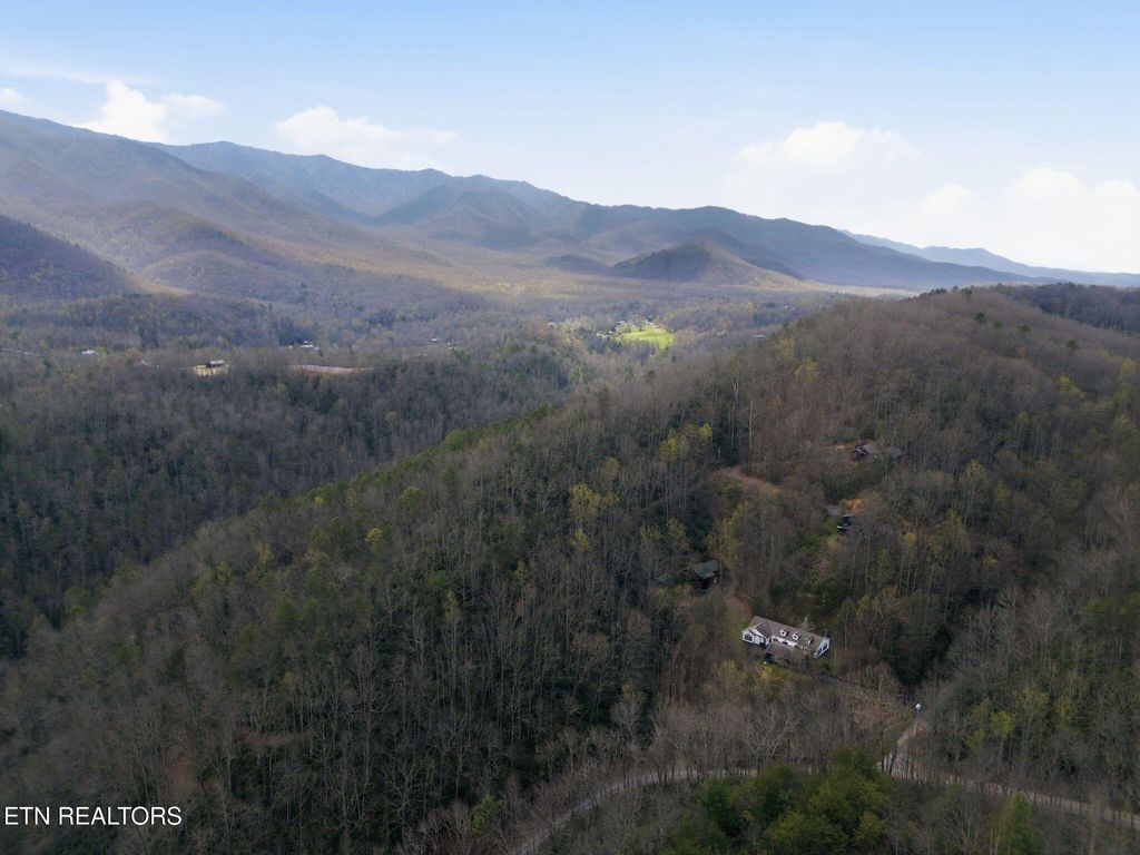 Photo of 337 Costner Rd, Cosby, TN 37722 (MLS # 1335542)