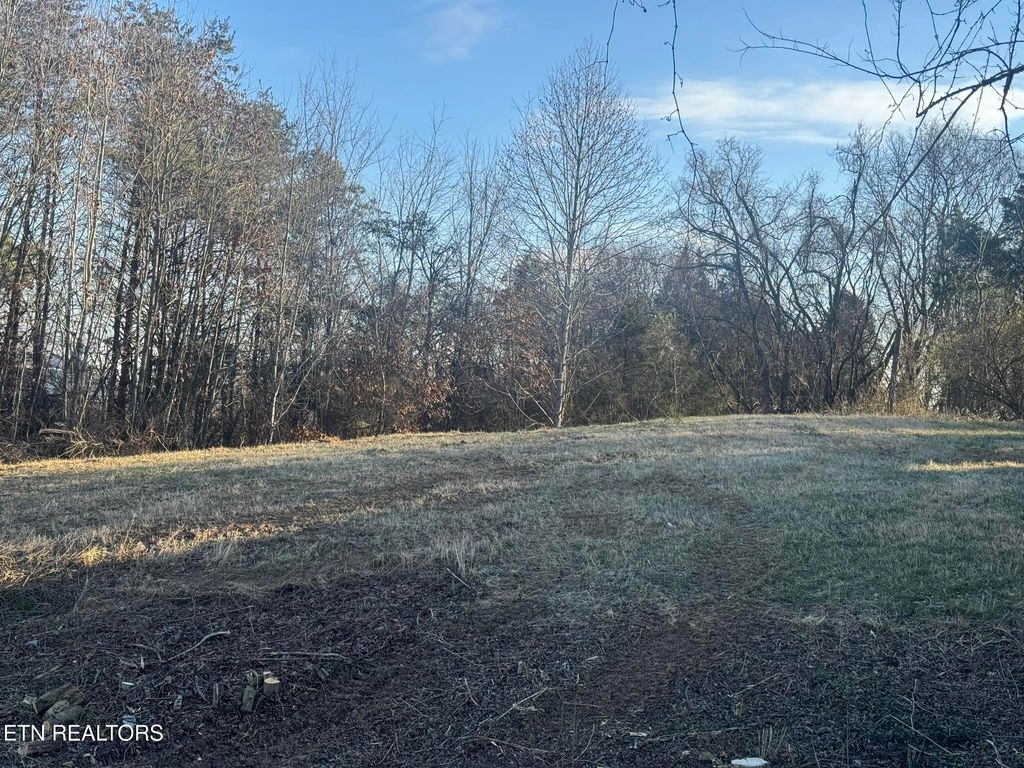 Photo of 3 Whittle Rd, New Market, TN 37820 (MLS # 1332768)