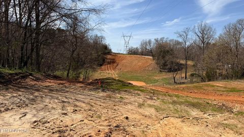 Tiny photo for 3 Whittle Rd, New Market, TN 37820 (MLS # 1332768)