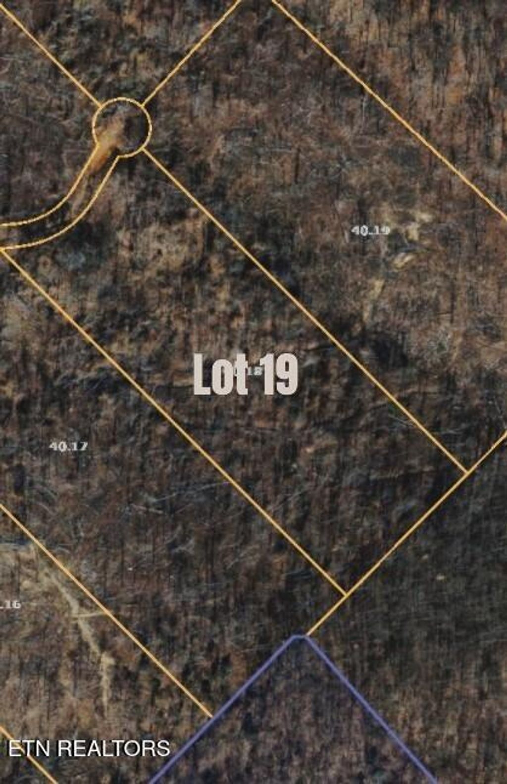 Photo of Lake Lane Lane #Lot 19, New Tazewell, TN 37825 (MLS # 1340435)