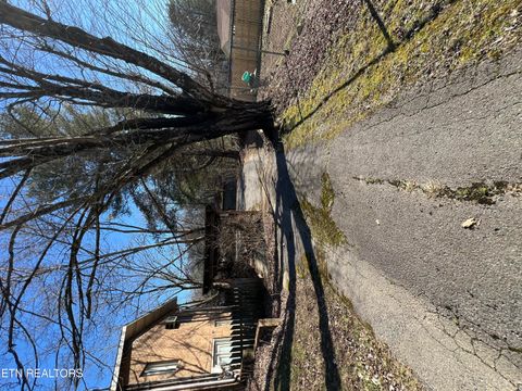 Tiny photo for 978 Camp St, Wartburg, TN 37887 (MLS # 1330879)