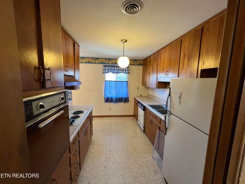 Tiny photo for 978 Camp St, Wartburg, TN 37887 (MLS # 1330879)