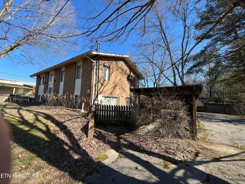 Tiny photo for 978 Camp St, Wartburg, TN 37887 (MLS # 1330879)