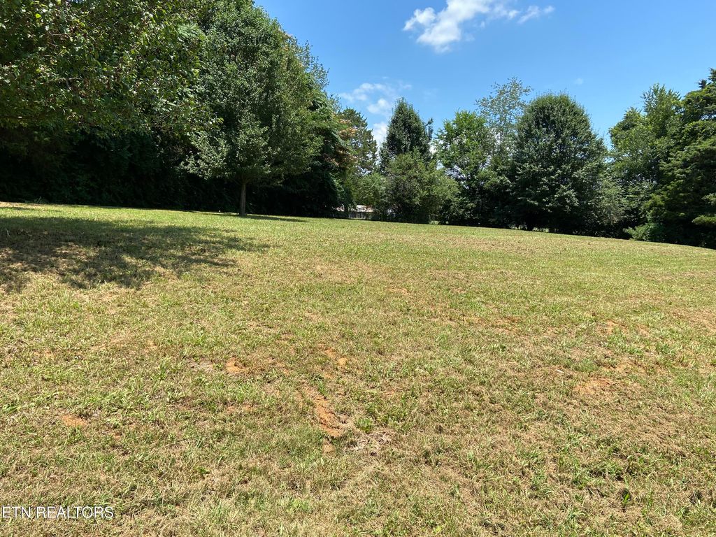 Photo of 3530 Mcdonald Rd, Louisville, TN 37777 (MLS # 1267162)