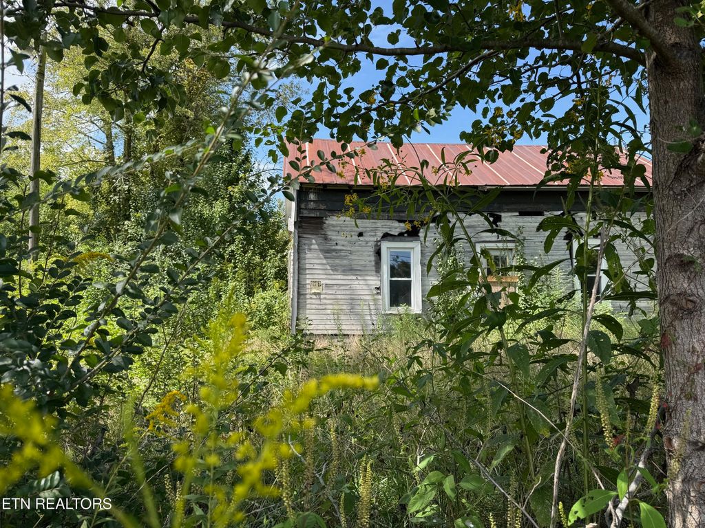 Photo of 1235 Tatesville Rd, Palmer, TN 37365 (MLS # 1332988)