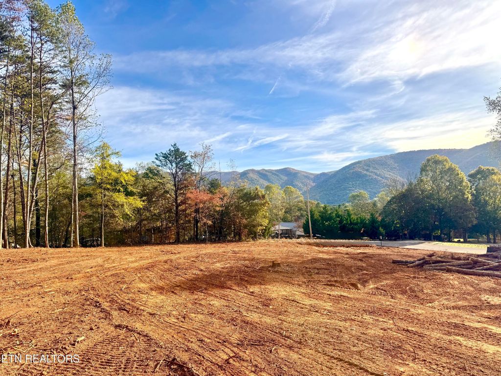 Photo of 3 Peachie Way, Cosby, TN 37722 (MLS # 1319817)