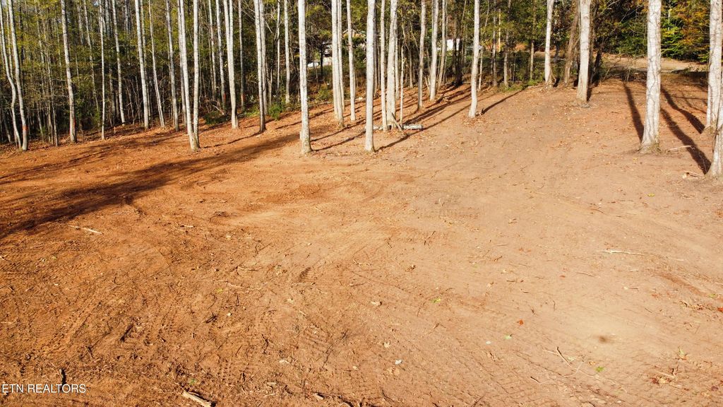 Photo of 3 Peachie Way, Cosby, TN 37722 (MLS # 1319817)