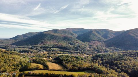 Tiny photo for 3 Peachie Way, Cosby, TN 37722 (MLS # 1319817)