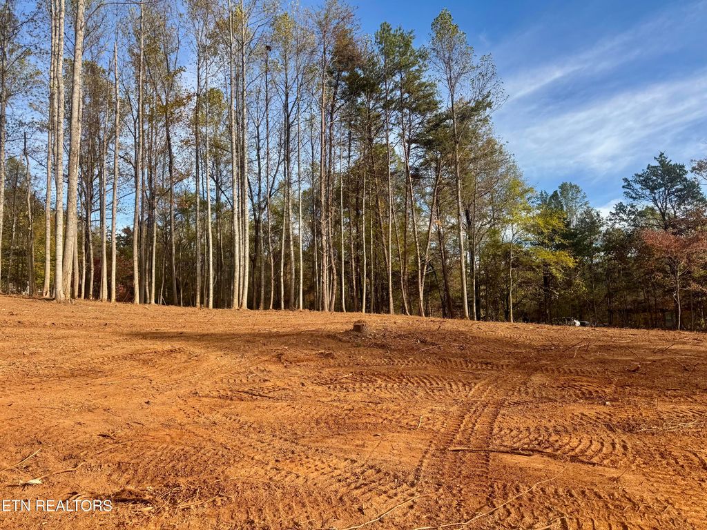 Photo of 3 Peachie Way, Cosby, TN 37722 (MLS # 1319817)