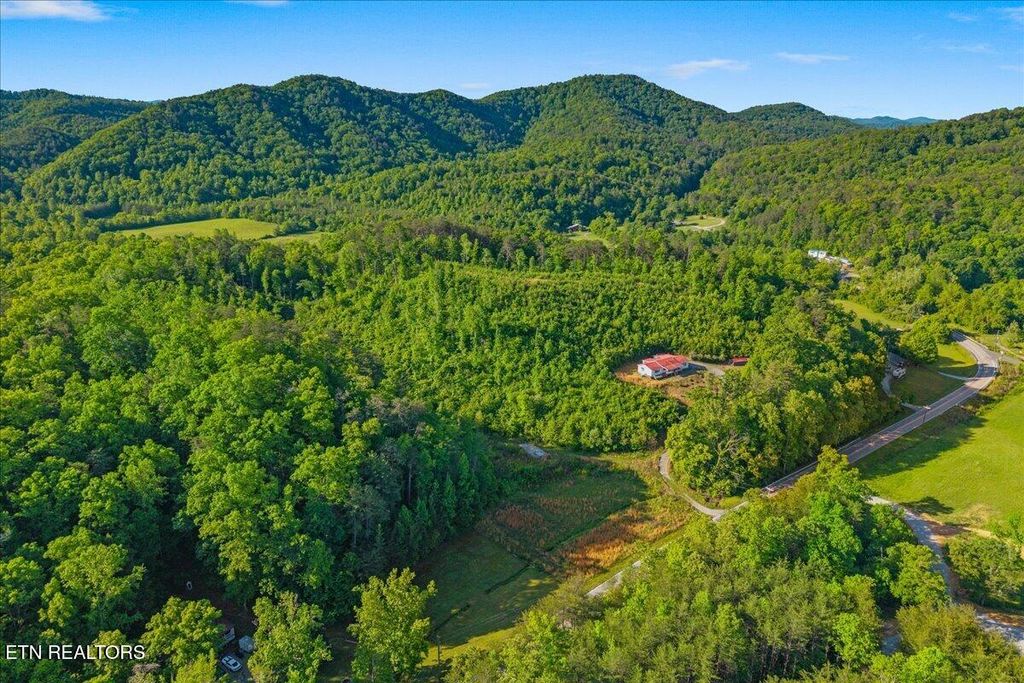 Photo of 5673 Highway 360, Tellico Plains, TN 37385 (MLS # 1338570)