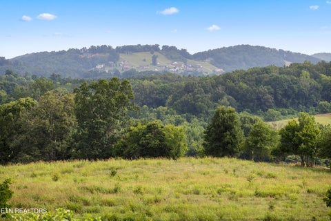 Tiny photo for 1832 C H Rankin Rd, Dandridge, TN 37725 (MLS # 1347488)