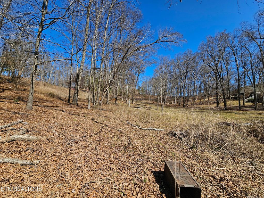 Photo of Colonial Harbor Dr, Louisville, TN 37777 (MLS # 1291181)