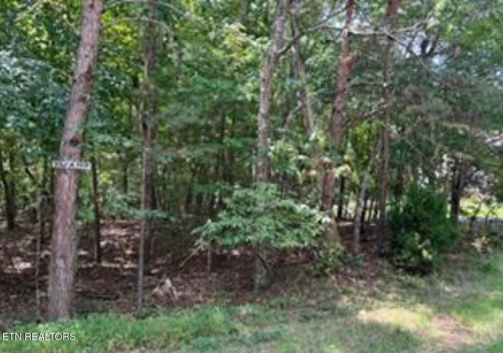 Photo of 125 Lechmere Drive, Crossville, TN 38558 (MLS # 1331890)