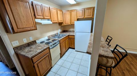 Tiny photo for 510 14Th St #301, Knoxville, TN 37916 (MLS # 1328042)