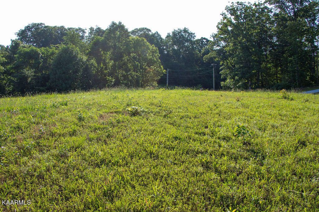 Photo of Dogwood Meadows Drive, Strawberry Plains, TN 37871 (MLS # 1219505)